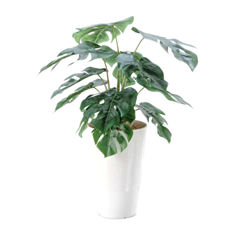 フェイクグリーン モンステラ