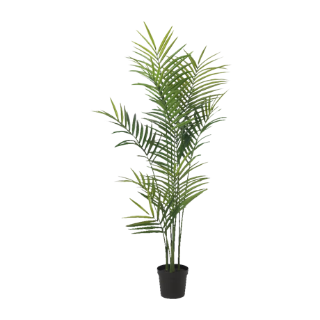 フェイカ 人工観葉植物 ケンチャヤシ